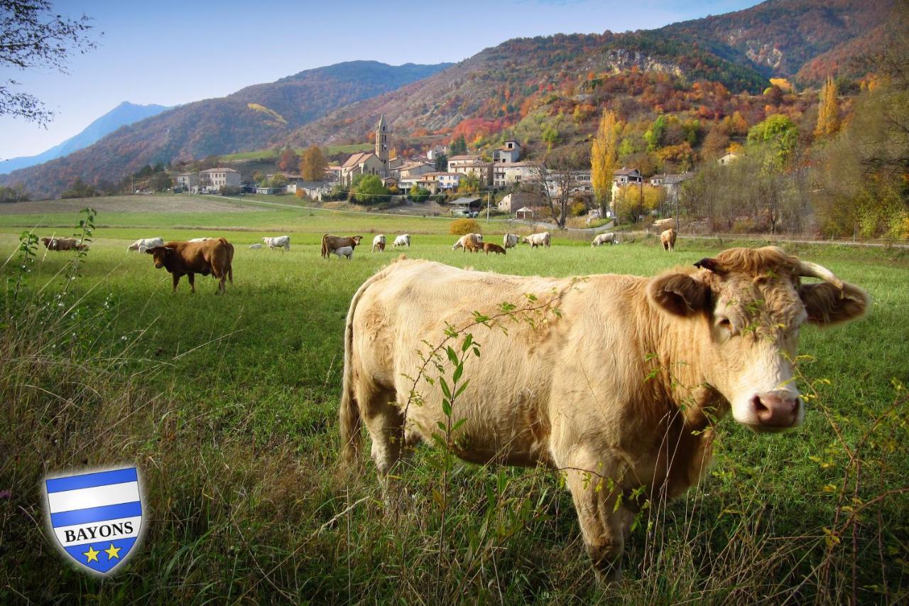 Gîte La Tanière Des Alpes Bayons Extérieur photo